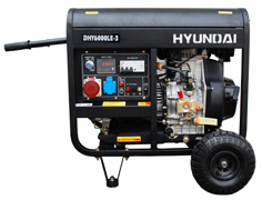 dizelnyy-generator-hyundai-dhy-6000-le-3_0